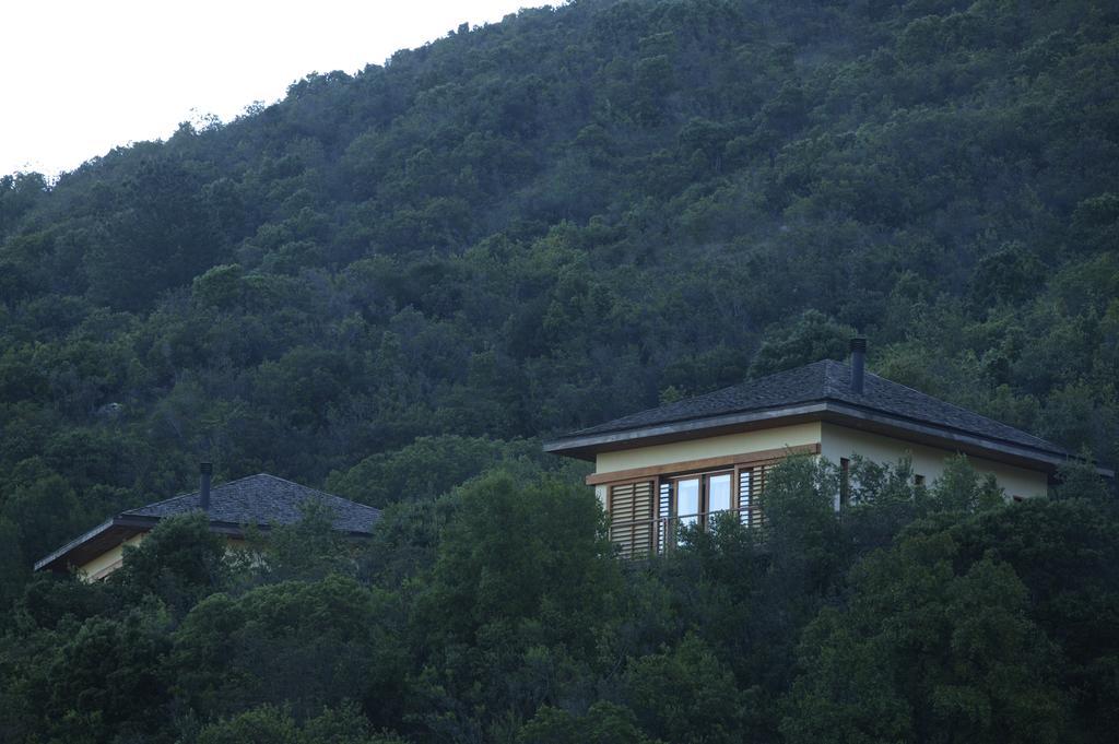 Clos Apalta Residence Relais&Chateaux Santa Cruz Extérieur photo